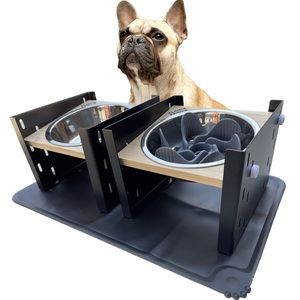 Elevated Dog Bowls with Slow Feeder & Silicone Mat